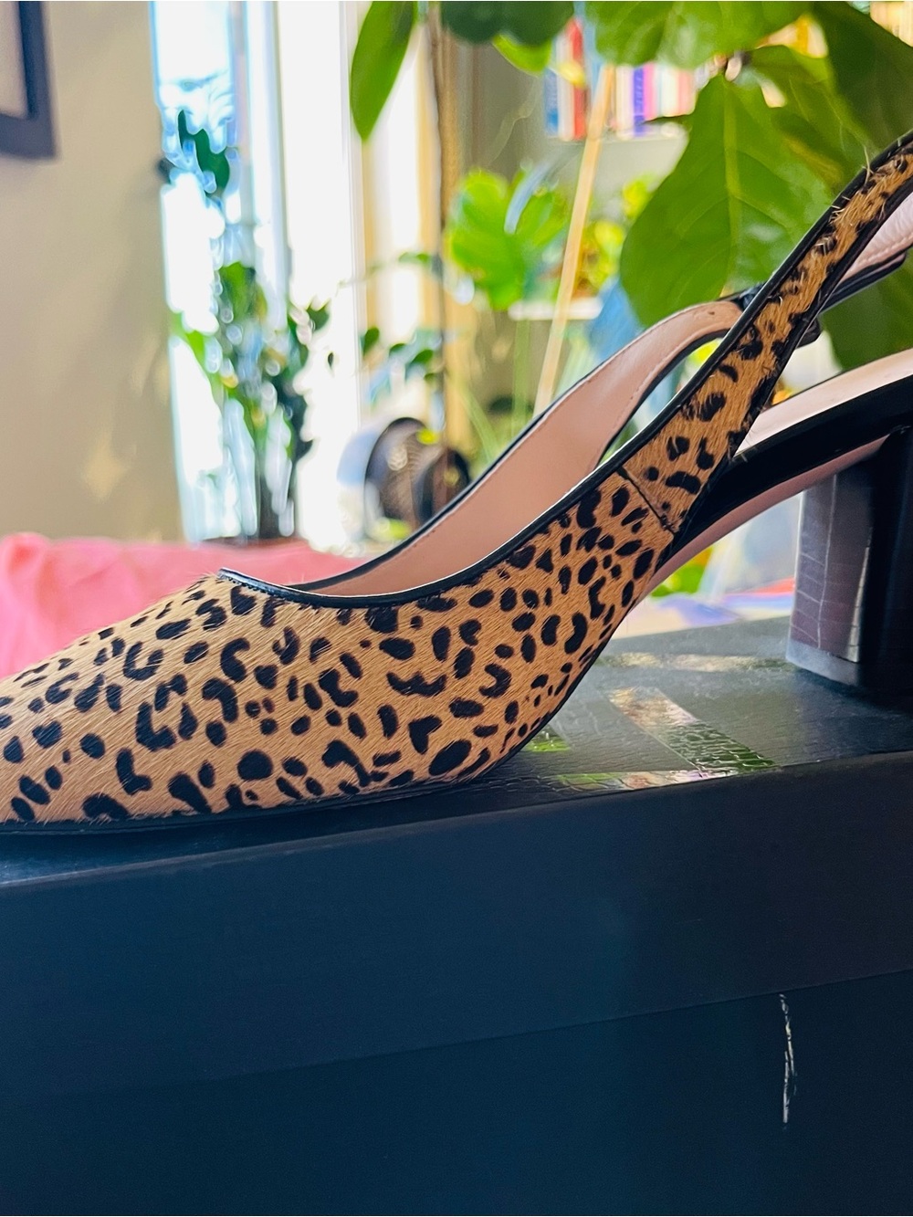 Size 7 Brand New 27 EDIT Leopard-Print 3” block heel in Tan and Black